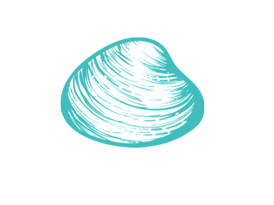 Rhode Island Quahog, littleneck, clam vinyl sticker